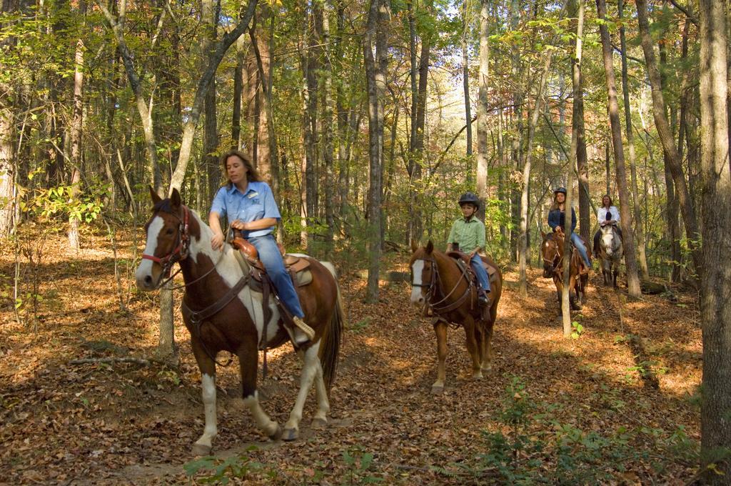 Brasstown Valley Resort & Spa Young Harris Εξωτερικό φωτογραφία
