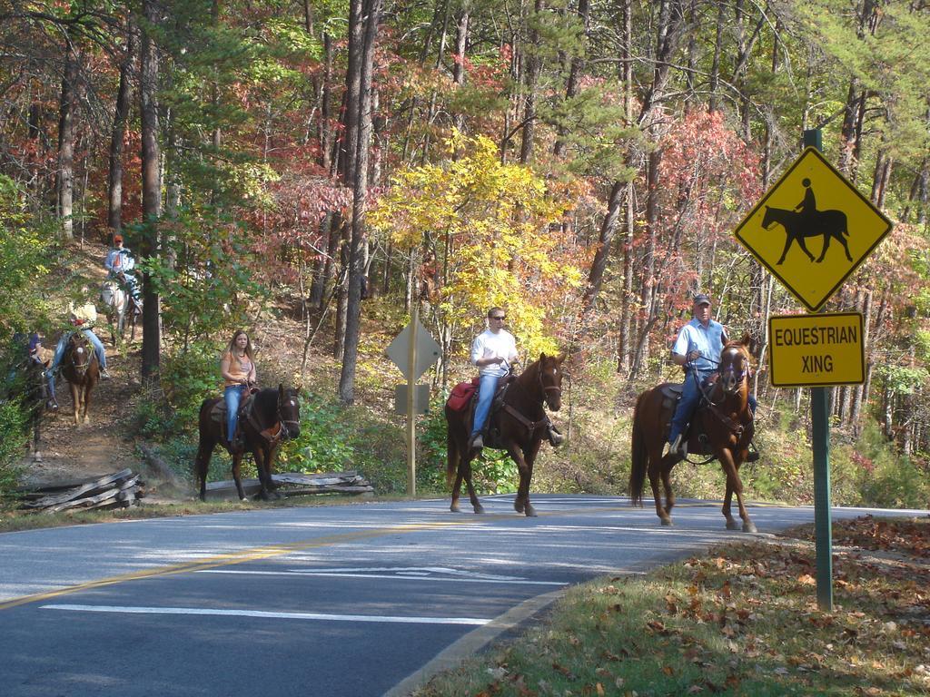 Brasstown Valley Resort & Spa Young Harris Εξωτερικό φωτογραφία