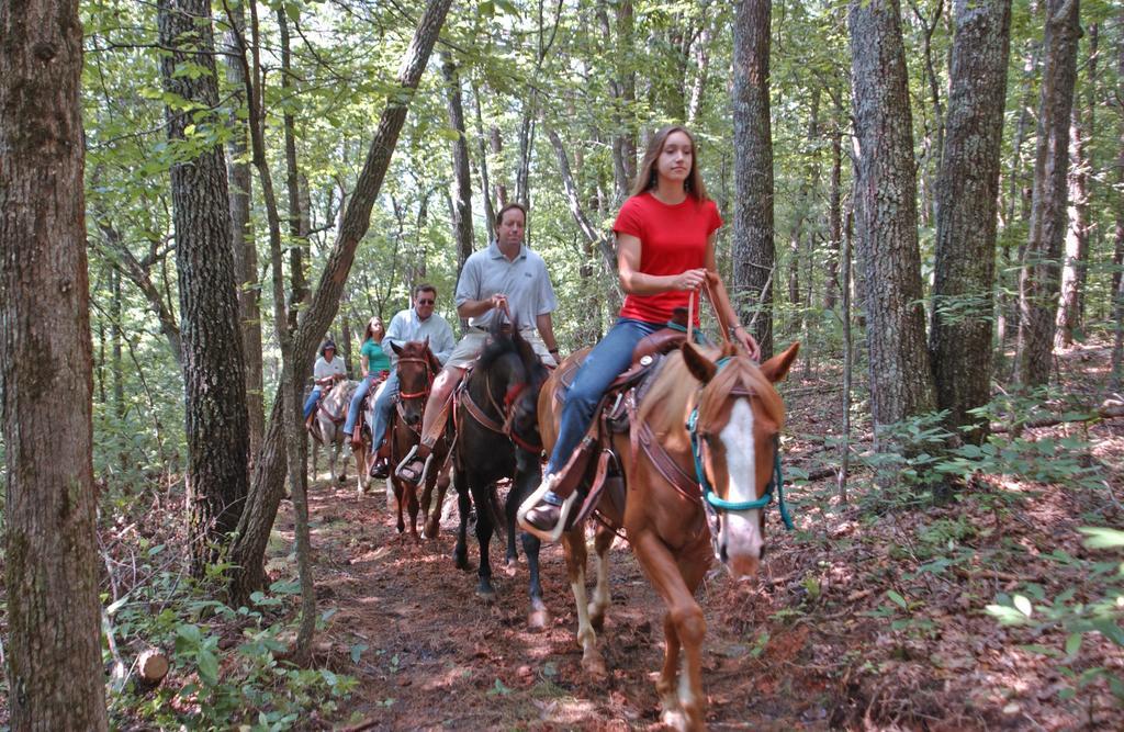 Brasstown Valley Resort & Spa Young Harris Εξωτερικό φωτογραφία