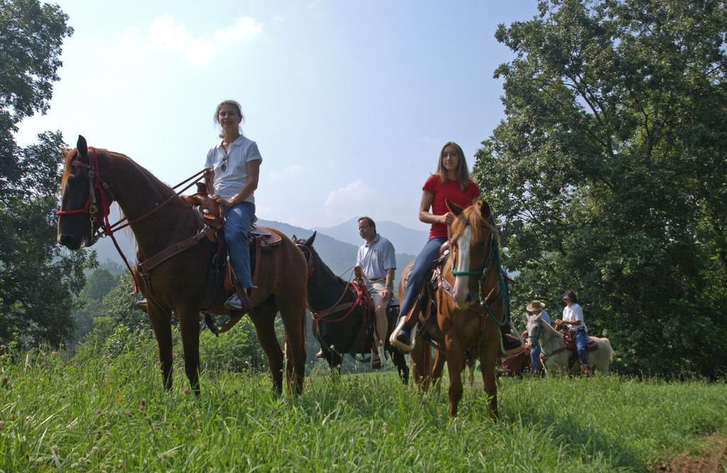 Brasstown Valley Resort & Spa Young Harris Εξωτερικό φωτογραφία