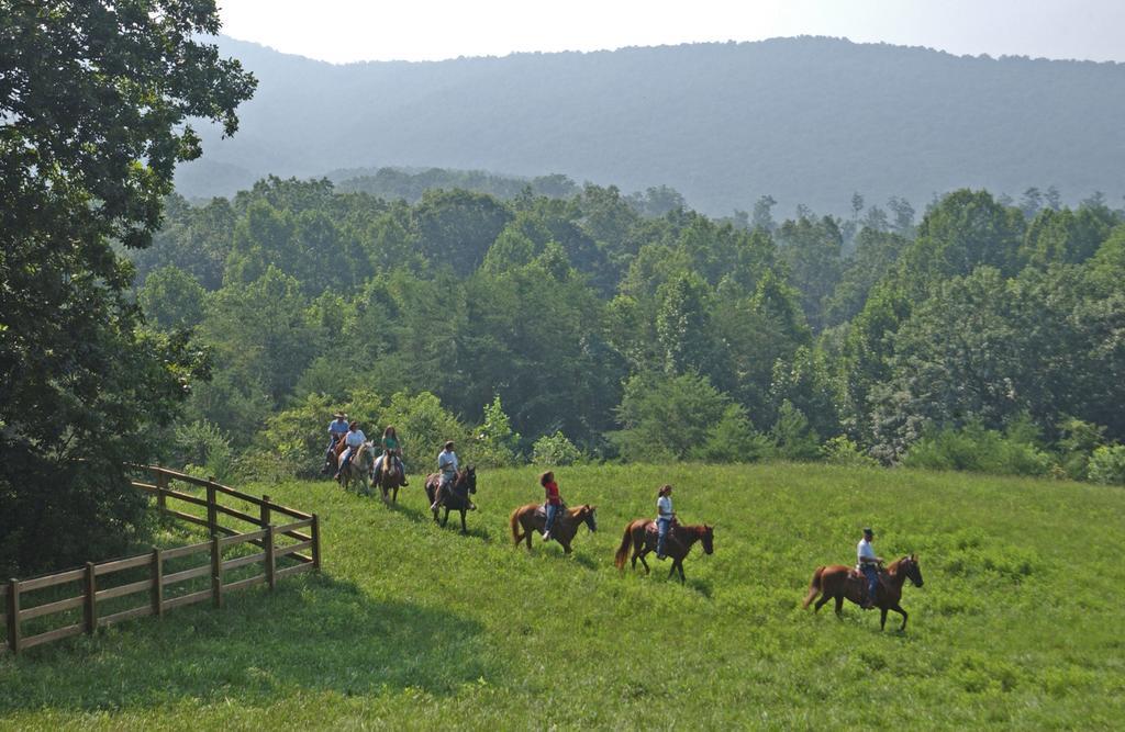 Brasstown Valley Resort & Spa Young Harris Εξωτερικό φωτογραφία