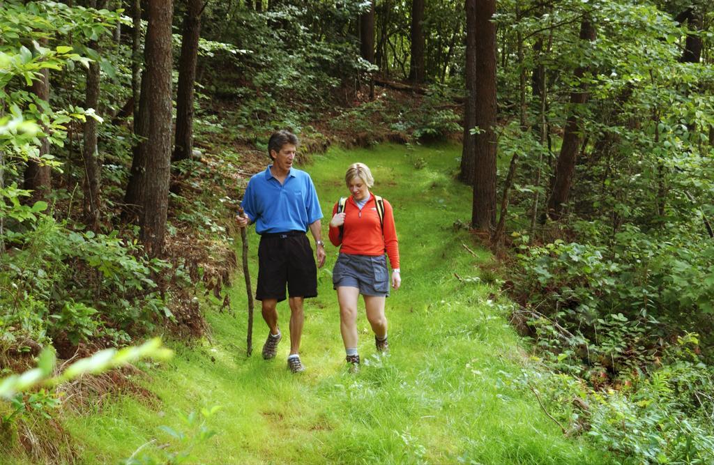 Brasstown Valley Resort & Spa Young Harris Εξωτερικό φωτογραφία